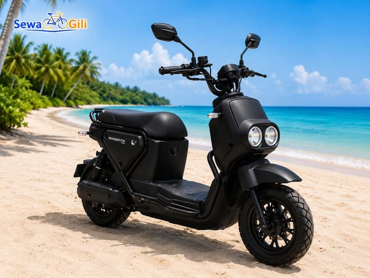Magenta Pro E-Bike Black