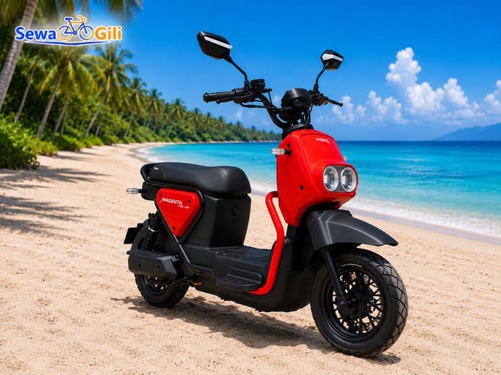Magenta Pro E-Bike red